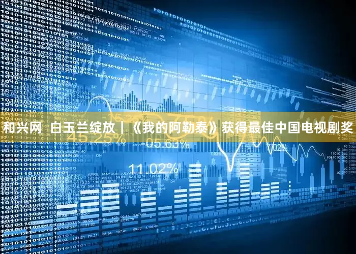 和兴网  白玉兰绽放｜《我的阿勒泰》获得最佳中国电视剧奖