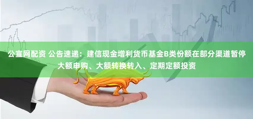 公宣网配资 公告速递：建信现金增利货币基金B类份额在部分渠道暂停大额申购、大额转换转入、定期定额投资