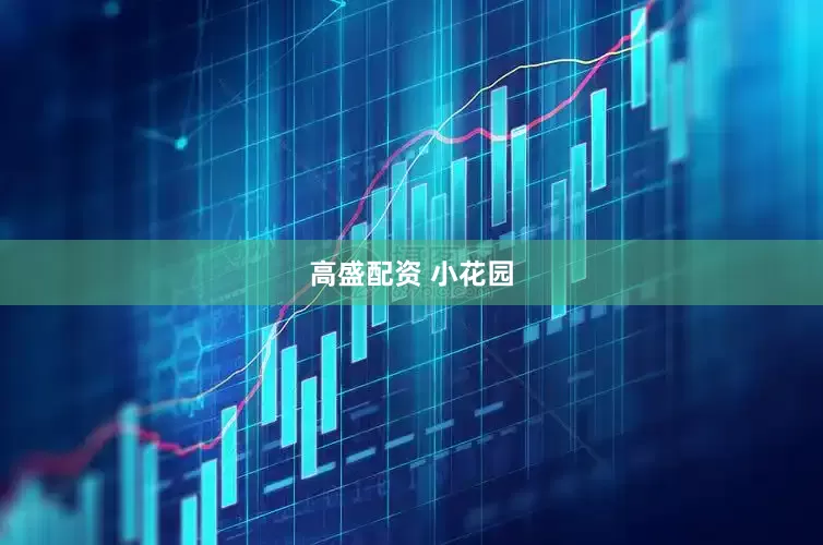 高盛配资 小花园