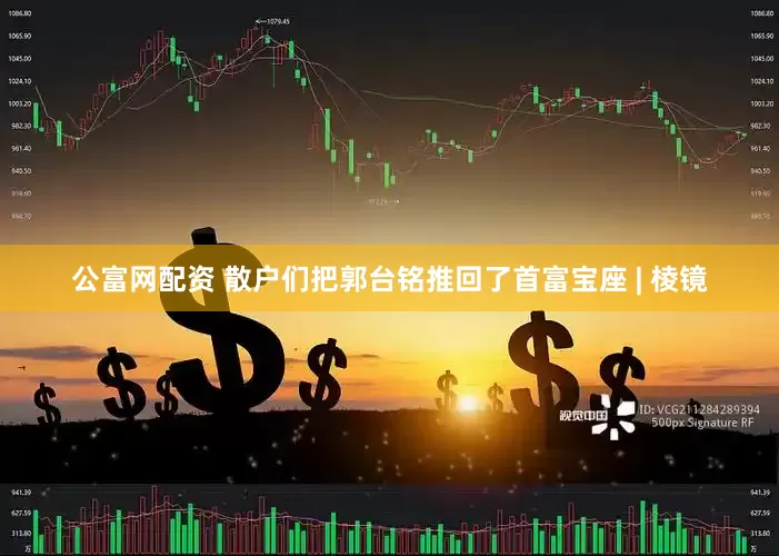 公富网配资 散户们把郭台铭推回了首富宝座 | 棱镜