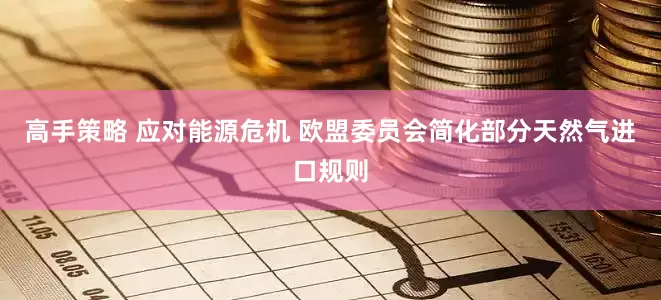 高手策略 应对能源危机 欧盟委员会简化部分天然气进口规则