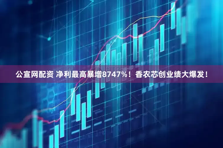 公宣网配资 净利最高暴增8747%！香农芯创业绩大爆发！