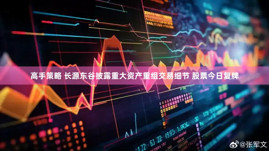 高手策略 长源东谷披露重大资产重组交易细节 股票今日复牌